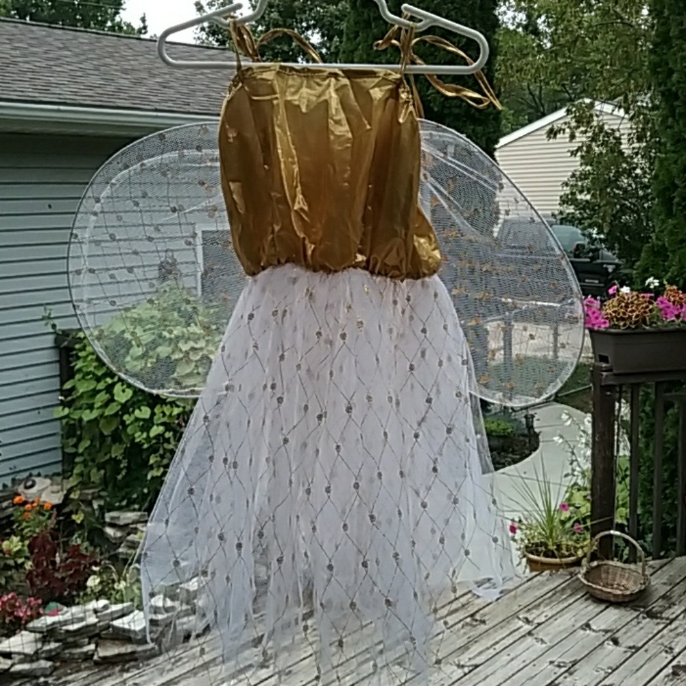 Girls fairy costume